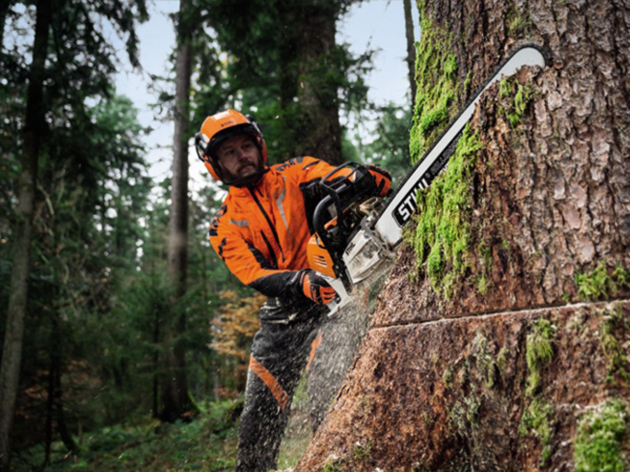Professional & Arborist Chainsaws New Zealand NC Equipment