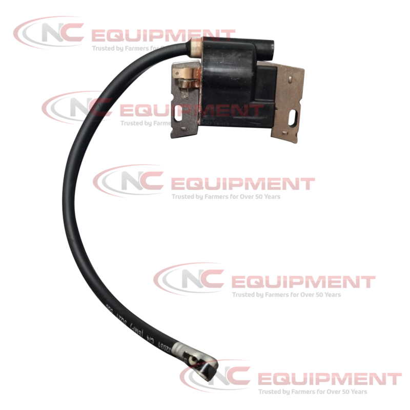 B&S Ignition Coil/Armature